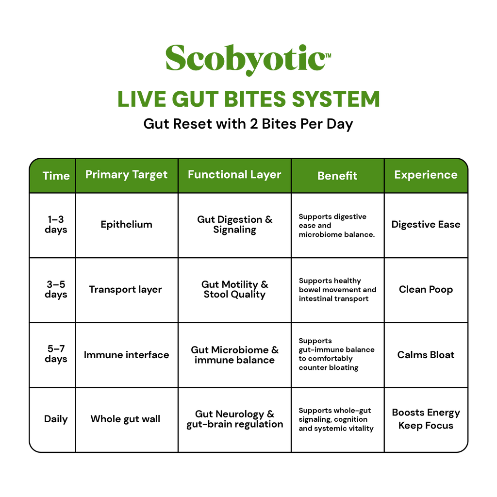 Scobyotic Kombucha Bite