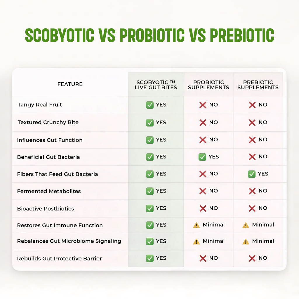 Scobyotic Kombucha Bite