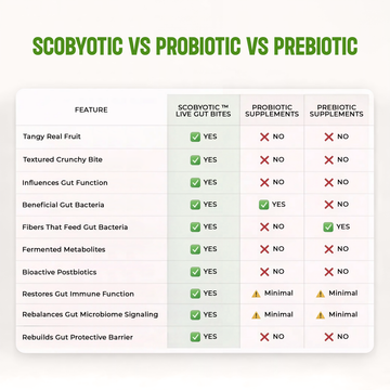 Scobyotic Kombucha Bite